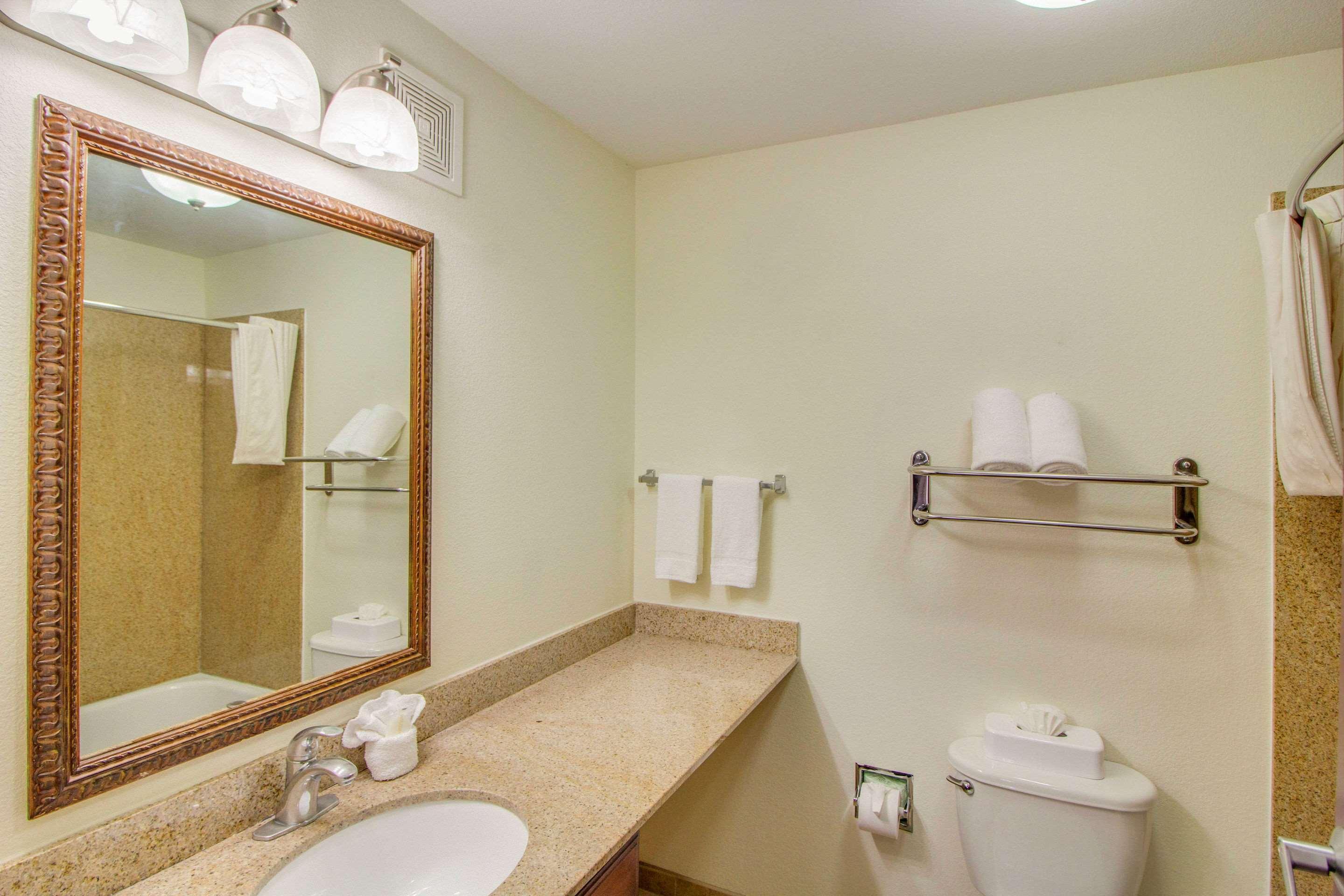 Hotel Mainstay Texas Medical Center-reliant Park 3*